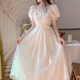 Lace-up Party Long Fairy Dress