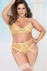 Mesh Bra And Garter Set | Plus Size Areous