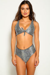 Silver Snake Print Metallic Two Piece Swimsuit Areous