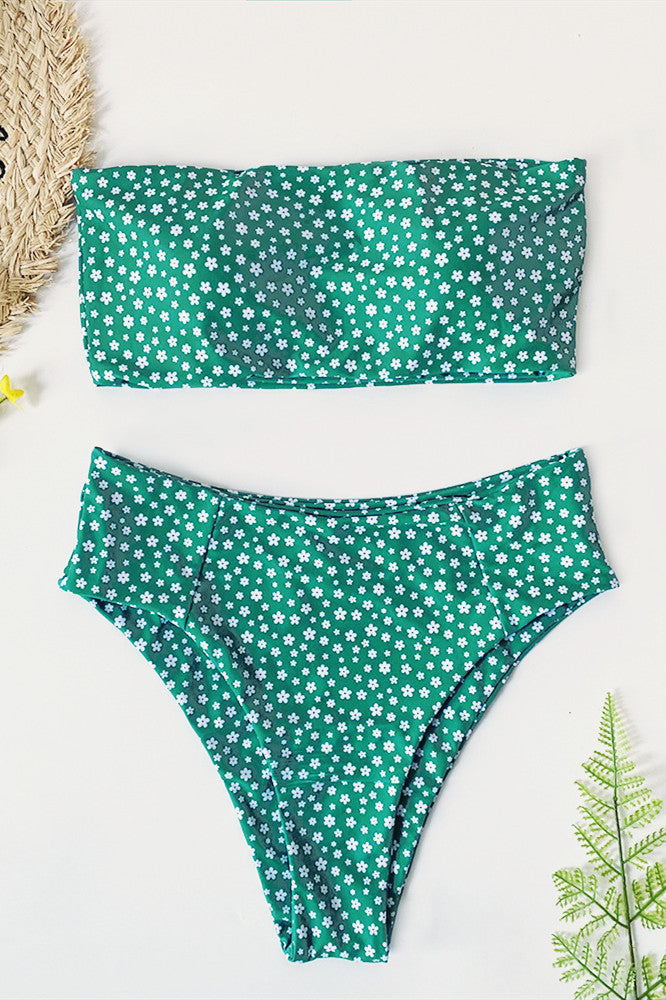 Gypsophila Paniculata Strapless Bikini Set Areous