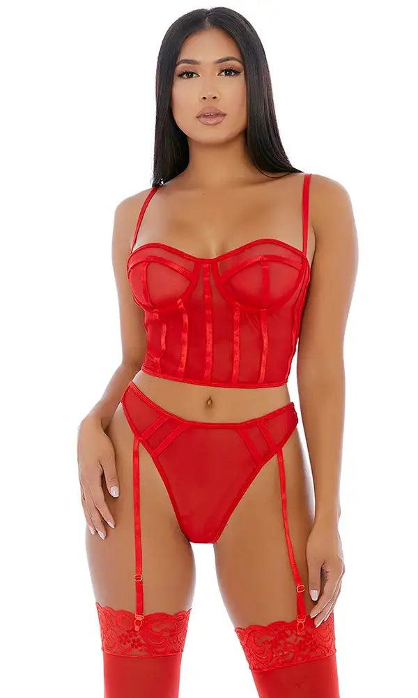 Red Sheer Intimacy Mesh Bustier Set Areous