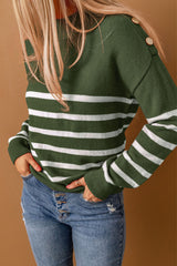 Striped Turtleneck Long Sleeve Sweater With Buttons